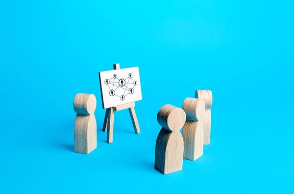 What's the Best Method to Ensure a Smooth Transition for Pets Adopted from Shelters?